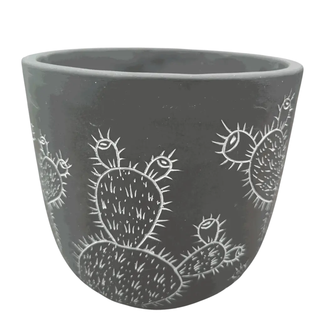 Pot Ceramic Desert cactus A577
