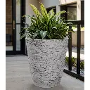Pot Astro-Weathered Rock.webp