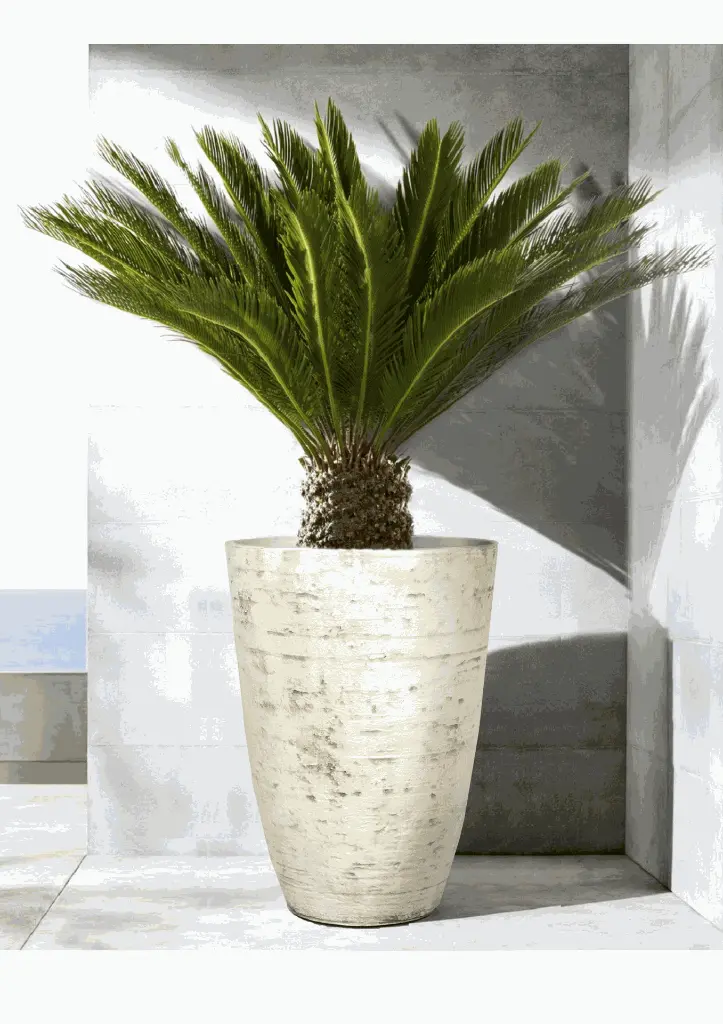 Pot Sirus Vase-Country White.webp