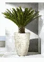 Pot Sirus Vase-Country White.webp