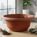 पॉट लोटस बिग टीसी