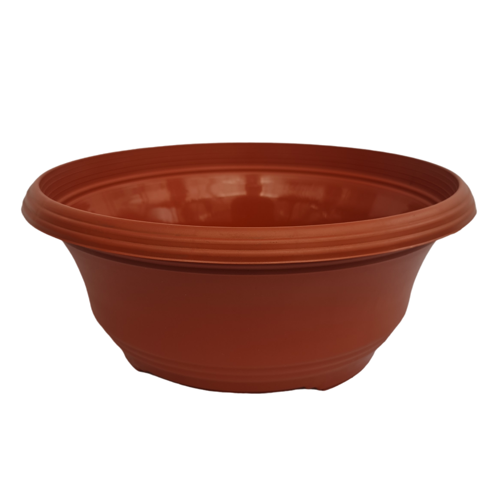 Pot Lotus Small TC