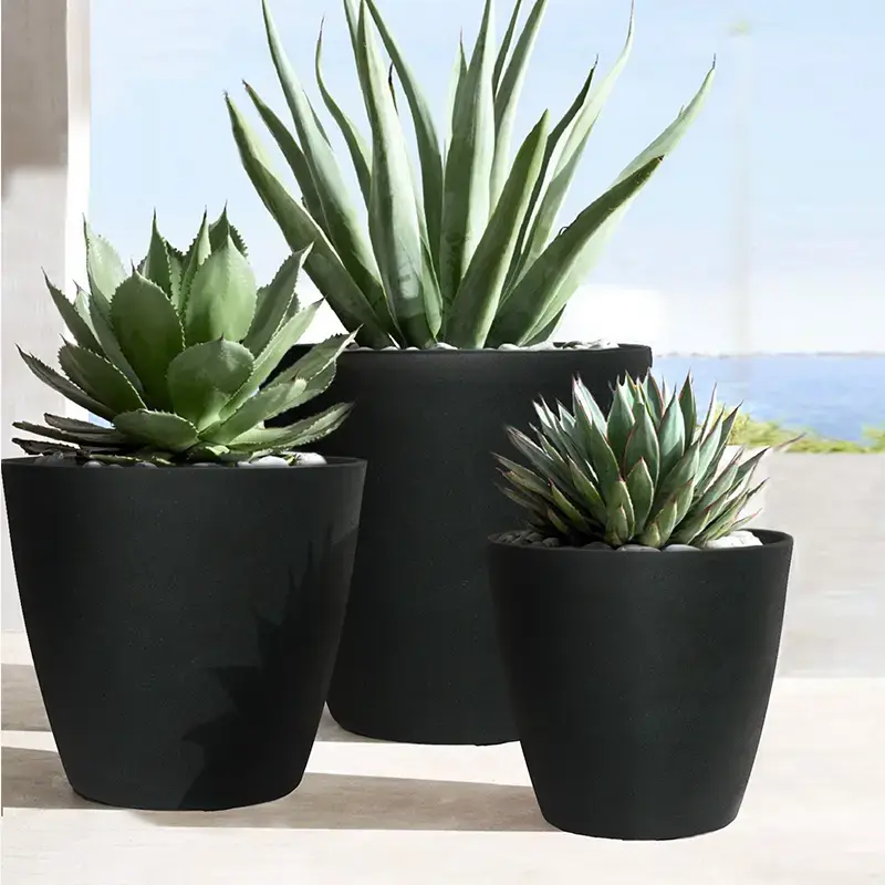 पॉट एसेक्स