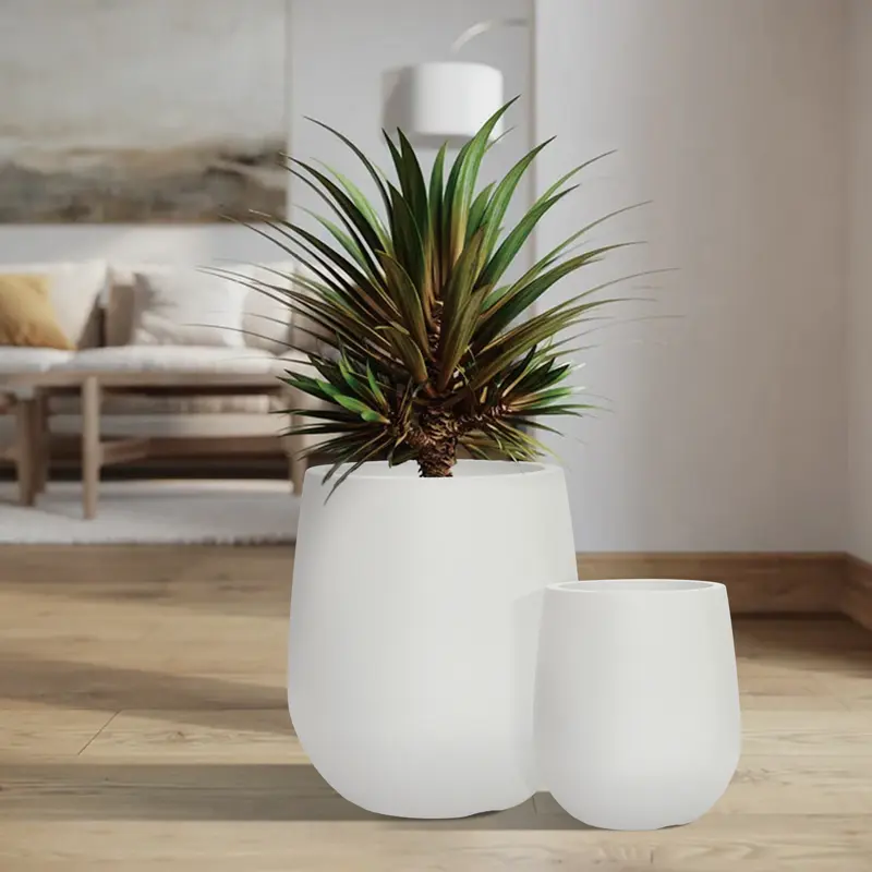 पॉट माउंट विल्सन