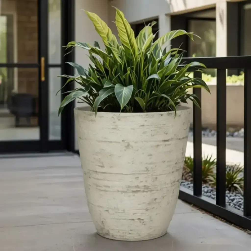 पॉट एस्ट्रो