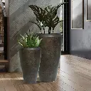 पॉट लिंफोर्ड टॉल