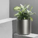 पॉट सिलिंडर