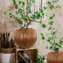 पॉट नेचर रिड्ज़्ड बाउल