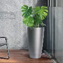 पॉट कंटेम्पररी राउंड