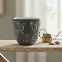 पॉट सिरॅमिक डेजर्ट कैक्टस A577