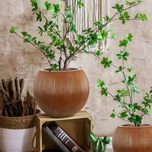 पॉट नेचर रिड्ज़्ड बाउल